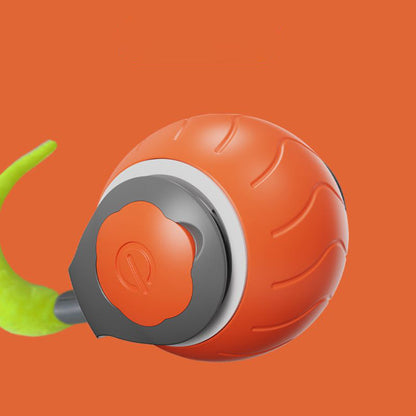 Speedy Tail Cat Toy