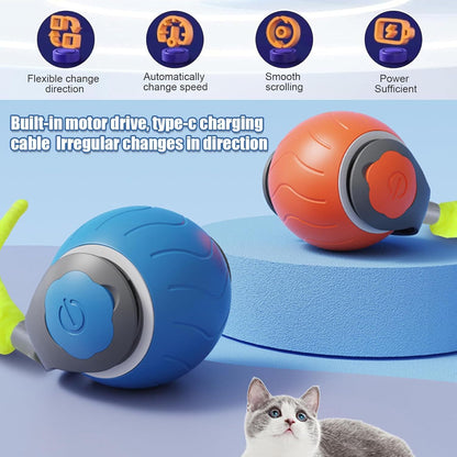 Speedy Tail Cat Toy